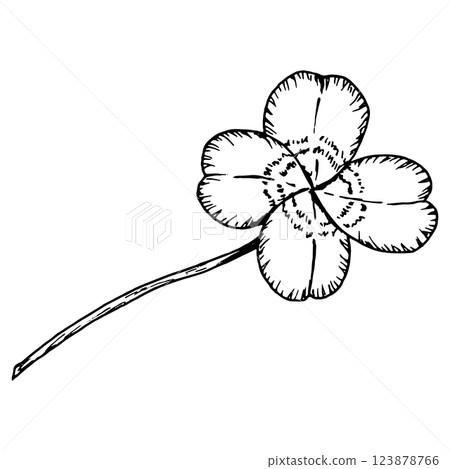 Four leaf clover. Leaves on a stem. Symbol of St. Patrick's Day. Hand drawn in ink monochrome illustration. Perfect for floral arrangements, Irish designs, herbal projects, good luck charms Four leaf clover. Leaves on a stem. Symbol of St. Patrick's Day. Hand drawn in ink monochrome illustration. Perfect for floral arrangements, Irish designs, herbal projects, good luck charms 123878766