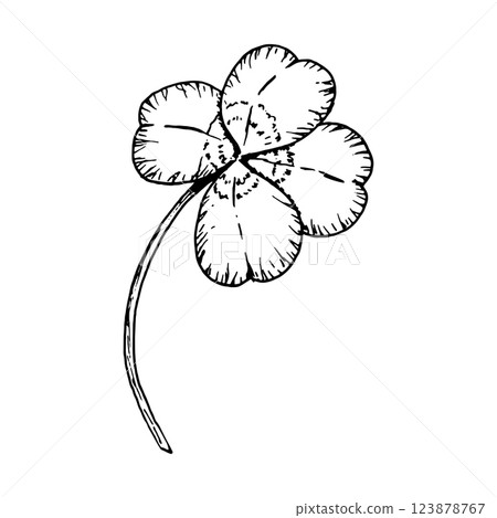 Four leaf clover on a stem. Symbol of St. Patrick's Day. Hand drawn in ink black and white illustration. Perfect for floral arrangements, Irish designs, herbal projects, good luck charms 123878767
