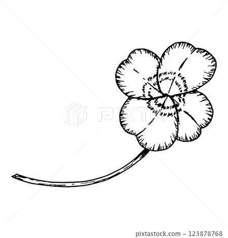 Four leaf clover. Leaves on a stem. Symbol of St. Patrick's Day. Hand drawn in ink black and white illustration. Perfect for floral arrangements, Irish designs, herbal projects, good luck charms 123878768