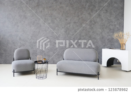 Grey walls with soft modern grey furniture. Free space for your design. High quality photo 123878982