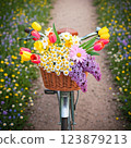Bicycle with spring flowers in a basket on a flower-lined path. Springtime nature and outdoor lifestyle concept 123879213