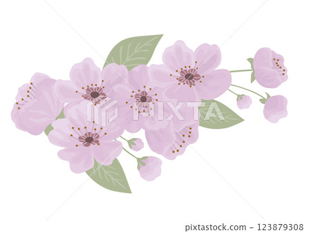 Spring cherry blooming flowers bouquet 123879308