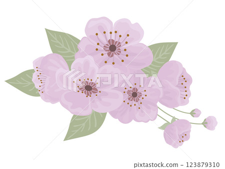 Spring cherry blooming flowers bouquet 123879310