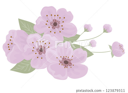Spring cherry blooming flowers bouquet 123879311