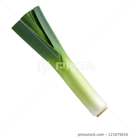 A fresh leek, with vibrant green leaves transitioning to a pale base, angled diagonally on a clean white background 123879838