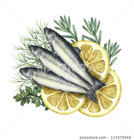 Sardines with herbs and lemons. A hand-drawn watercolor illustration. A color image of a fish dish. Separate from the background. Great for menus, recipe books, packages, labels, invitations. Sardines with herbs and lemons. A hand-drawn watercolor illustration. A color image of a fish dish. Separate from the background. Great for menus, recipe books, packages, labels, invitations. 123879948