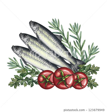 Sardines with herbs and tomatoes. A hand-drawn watercolor illustration. A color image of a fish dish. Separate from the background. For menus, recipe books, packages, labels, invitations. Sardines with herbs and tomatoes. A hand-drawn watercolor illustration. A color image of a fish dish. Separate from the background. For menus, recipe books, packages, labels, invitations. 123879949