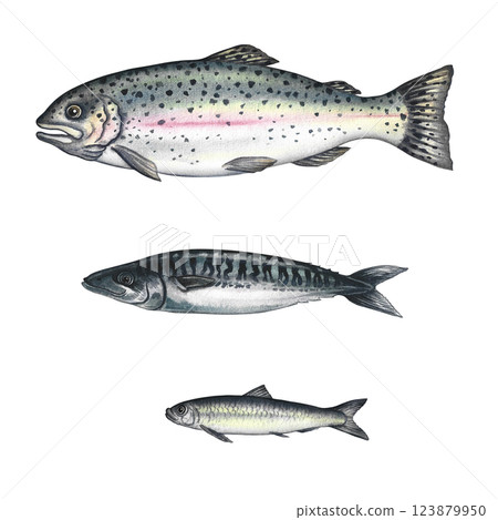Set with fish, trout, mackerel, sardines. A hand-drawn watercolor illustration. Color image of seafood. Separate from the background. Perfect for menus, recipe books, packages, labels, invitations. 123879950