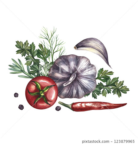 Composition with vegetables. A hand-drawn watercolor illustration. A color image of the ingredients for ketchup or sauce. Tomatoes, herbs, garlic, chili pepper. For menus, recipe, packages, labels. Composition with vegetables. A hand-drawn watercolor illustration. A color image of the ingredients for ketchup or sauce. Tomatoes, herbs, garlic, chili pepper. For menus, recipe, packages, labels. 123879965