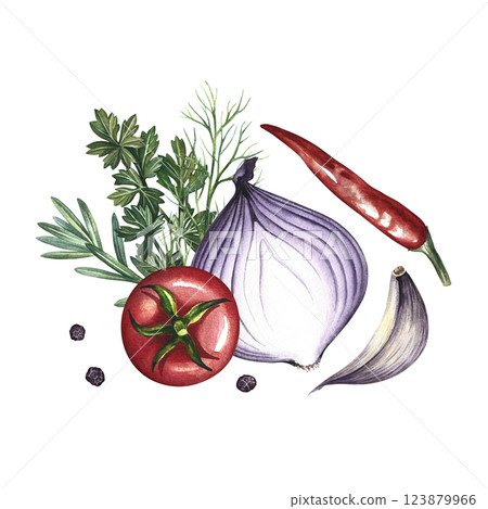 Composition with vegetables. A hand-drawn watercolor illustration. A color image of ketchup or sauce ingredients. Tomatoes, herbs, garlic, pepper and onion. For menus, recipe books, packages, labels. Composition with vegetables. A hand-drawn watercolor illustration. A color image of ketchup or sauce ingredients. Tomatoes, herbs, garlic, pepper and onion. For menus, recipe books, packages, labels. 123879966