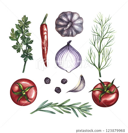 A set with vegetables and spices. A hand-drawn watercolor illustration. A color template with an image of organic products isolated from each other. For menus, recipe books, packages, labels. 123879968