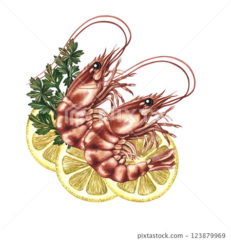 Shrimp with lemon and herbs. A hand-drawn watercolor illustration. Color image of seafood. For menus, recipe books, packages, labels and invitations. Shrimp with lemon and herbs. A hand-drawn watercolor illustration. Color image of seafood. For menus, recipe books, packages, labels and invitations. 123879969