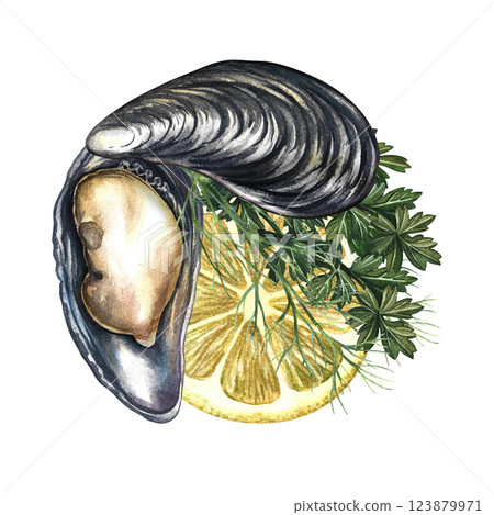 Mussels with lemon and herbs. Handmade watercolor illustration. A color image of a seafood dish. Suitable for menus, recipe books, packages, labels and banners and flyers. Mussels with lemon and herbs. Handmade watercolor illustration. A color image of a seafood dish. Suitable for menus, recipe books, packages, labels and banners and flyers. 123879971