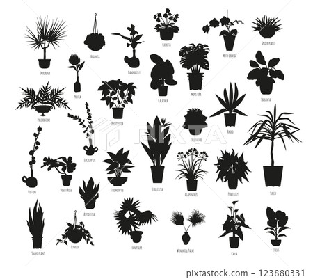 Set of black silhouettes of potted houseplants isolated on white background Set of black silhouettes of potted houseplants isolated on white background 123880331