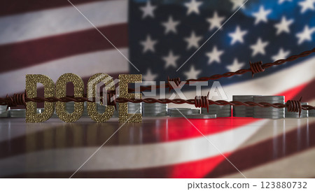 The Doge and coins on USA flag Background  3d Rendering. 123880732