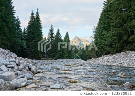 Shallow forest river, round stones and coniferous trees on both sides, mount Krivan peak (Symbol of Slovakia) with afternoon clouds in distance 123880931