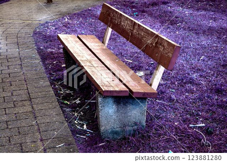 wooden bench in the park wooden bench in the park 123881280