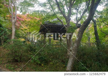 Katsujoji fall 123882479