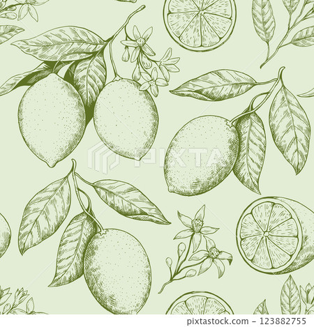 Seamless pattern with lemon branches with fruits and flowers. Drawing in retro engrawing style. Black and white illustration. 123882755