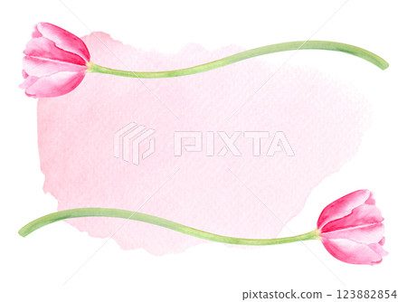 Tulip flower watercolor horizontal card on pink watercolor background. Hand painted delicate flower. High quality clip art perfect for mother's day, women's day cards, posters, banners, decor design 123882854