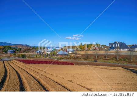 Park scene in late autumn with a blue sky background Park scene in late autumn with a blue sky background 123882937