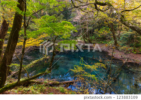 秋季世界遺產白神山地:十二湖、太坪池的紅葉 秋季世界遺產白神山地:十二湖、太坪池的紅葉 123883109