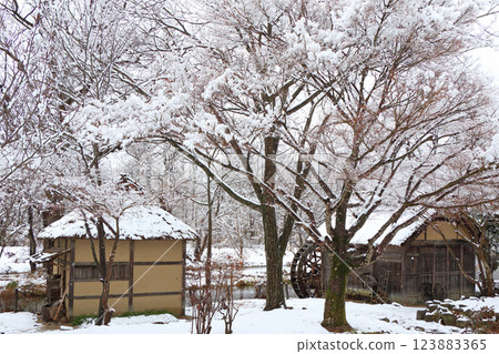 Azumino: Watermill in snow Azumino: Watermill in snow 123883365