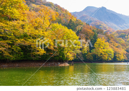 Shirakami-Sanchi World Heritage Site in Autumn: Autumn Foliage at Juniko Lake and Keitoba Pond Shirakami-Sanchi World Heritage Site in Autumn: Autumn Foliage at Juniko Lake and Keitoba Pond 123883481