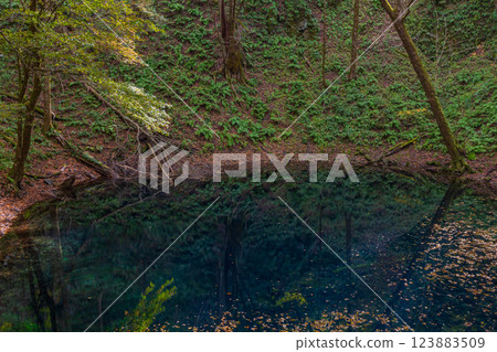Shirakami-Sanchi World Heritage Site in Autumn: Autumn Foliage at Juniko Lake and Aoike Pond Shirakami-Sanchi World Heritage Site in Autumn: Autumn Foliage at Juniko Lake and Aoike Pond 123883509