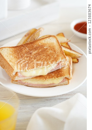 Hot sandwich 123883674