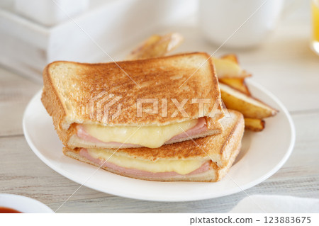 Hot sandwich 123883675