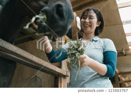 horse, female, lady 123883767