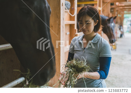 horse, female, females 123883772