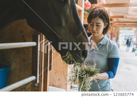 horse, female, females 123883774