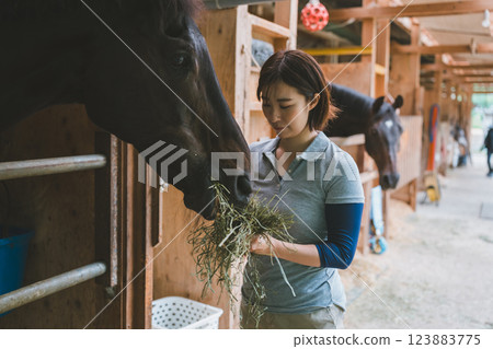 horse, female, females 123883775