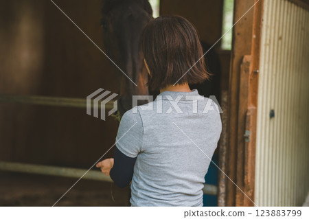 horse, female, females 123883799