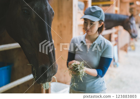 horse, female, lady 123883803