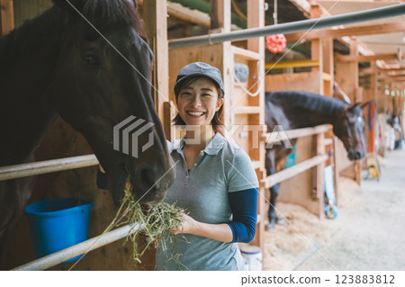 horse, female, females 123883812