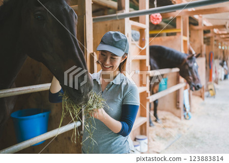 horse, female, lady 123883814