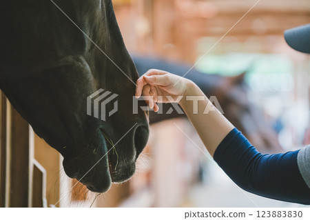 馬 馬兒 女生 123883830