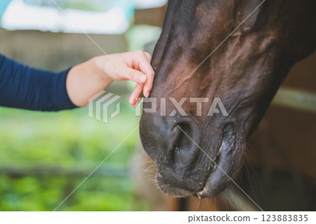 馬 馬兒 女生 123883835