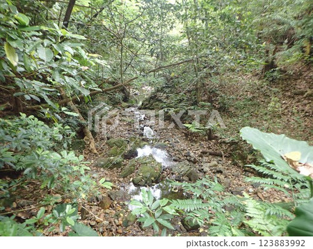 Mt. Nago, Nago City, Okinawa, Mountains, Nature, Green 123883992