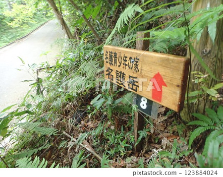 名護山, 名護市, 沖繩, 山脈, 大自然, 綠色 123884024