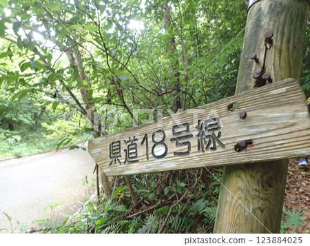 名護山, 名護市, 沖繩, 山脈, 大自然, 綠色 123884025