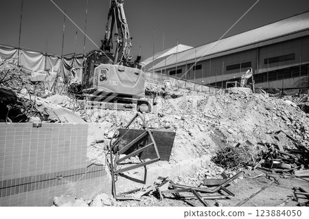 建築拆除現場在廢墟中工作的重型機械 a-7 單色 建築拆除現場在廢墟中工作的重型機械 a-7 單色 123884050