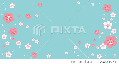 Pale and elegant cherry blossom petals falling ~Spring design background material~ 123884074