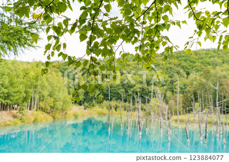 Mysterious colored lake Mysterious colored lake 123884077