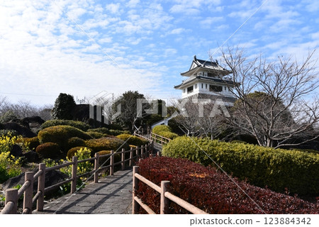 Takezaki Castle Historic Observation Deck 123884342