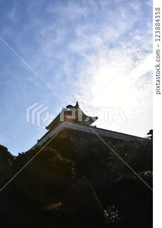 竹崎城堡歷史觀景台 123884358