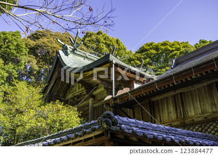 防府玉須神社本社山口縣防府市 防府玉須神社本社山口縣防府市 123884477